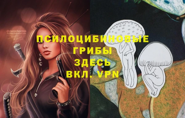 прущие грибы Алзамай