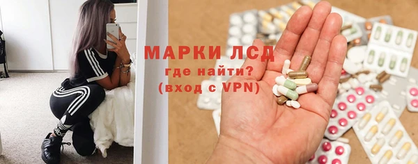 прущие грибы Алзамай