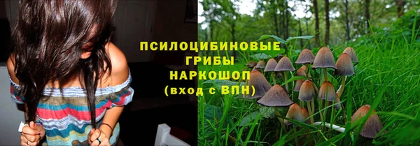 прущие грибы Алзамай